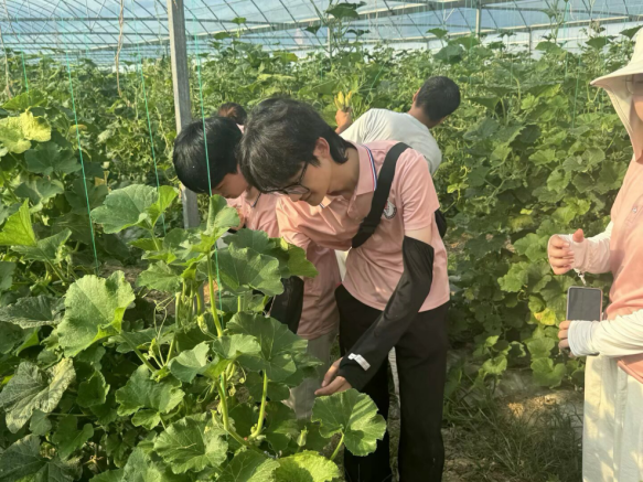 从红色沃土到振兴田野 华东交通大学学子开展暑期社会实践_fororder_图片7