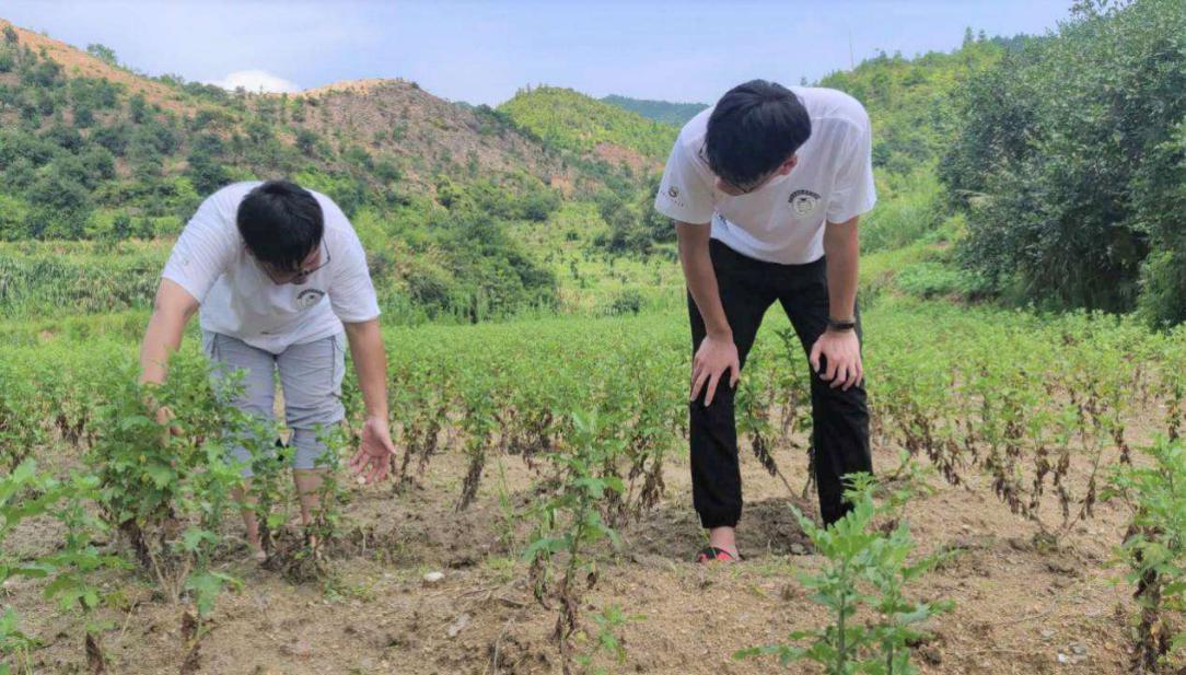 江西教育网华东交大学生三下乡用行动助力脱贫攻坚
